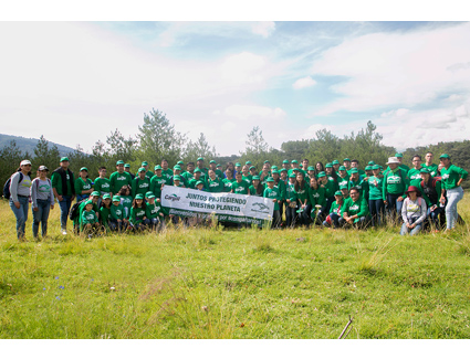 inpage-2018-reforestation-group