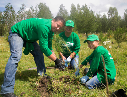 inpage-2018-reforestation